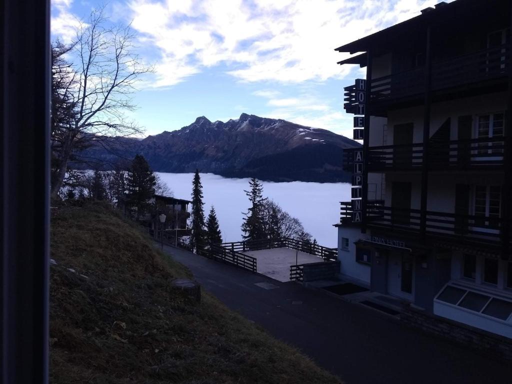 Charming And Cosy Apartment Murren Exterior photo